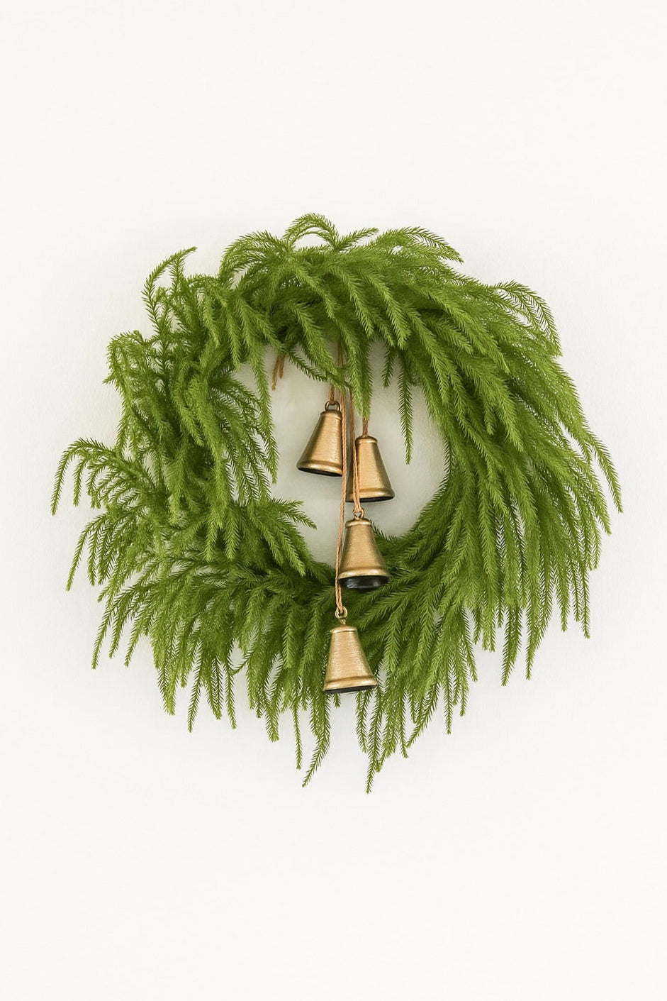 24'' Real Touch Norfolk Pine Wreath