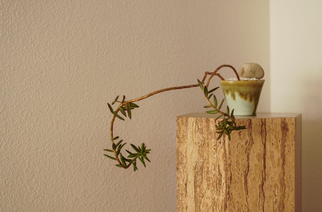 Embracing a Chill Lifestyle through Clay and Porcelain Home Decor