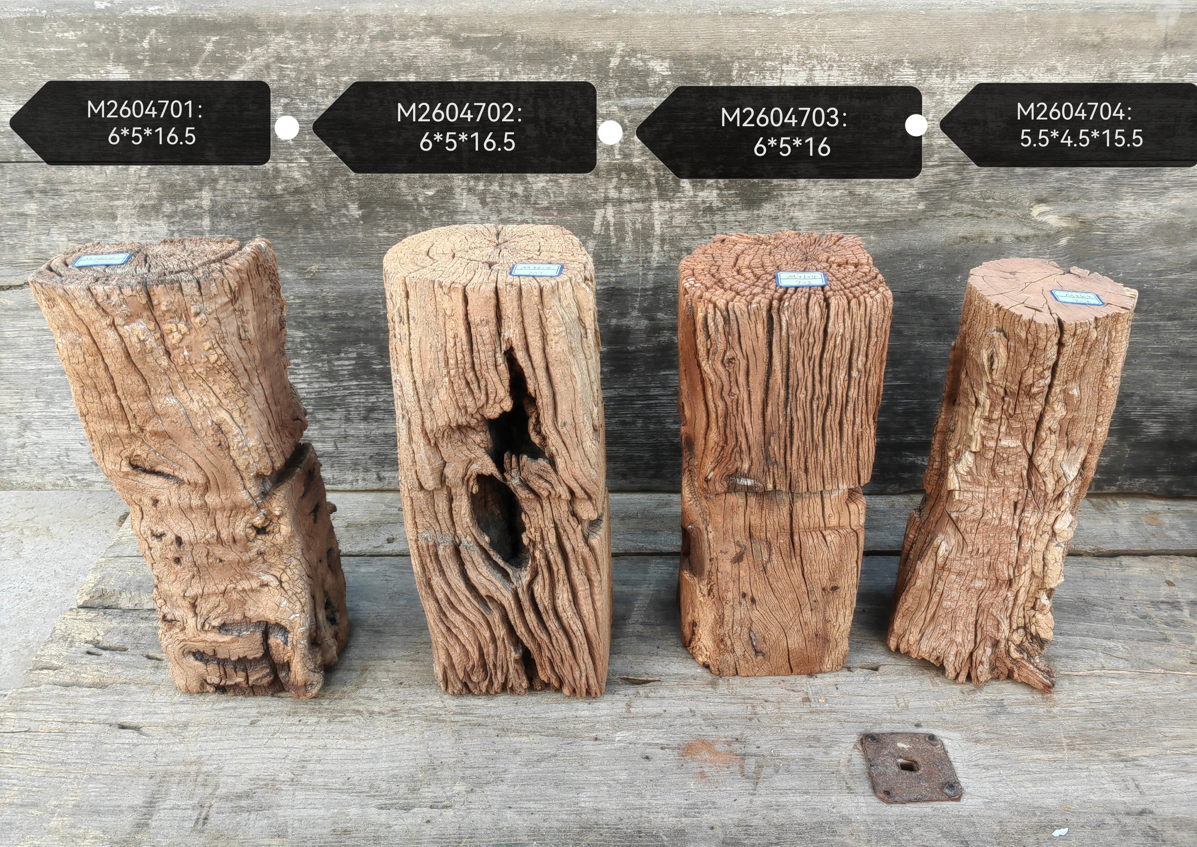 Antique Natural Tree Trunk Stool