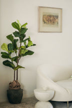 Yee Vintage Wabi-Sabi Rustic Ceramic Planter--Large