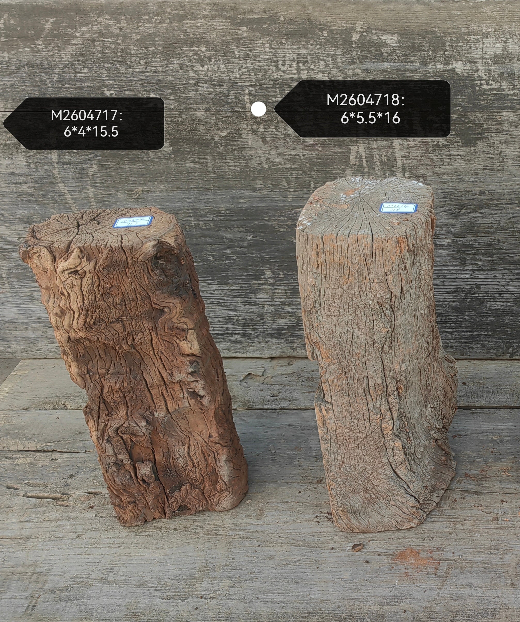 Antique Natural Tree Trunk Stool
