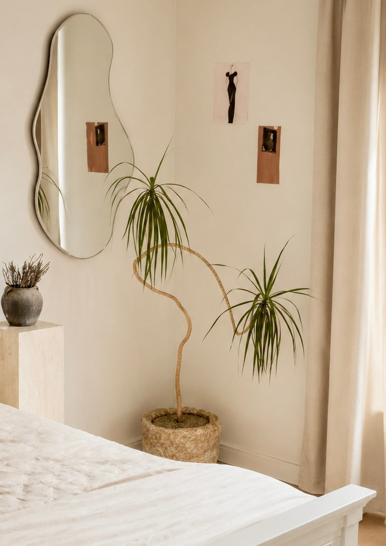 6 ft Dracaena Marginata With Vintage Stone Planter