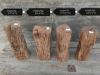 Antique Natural Tree Trunk Stool