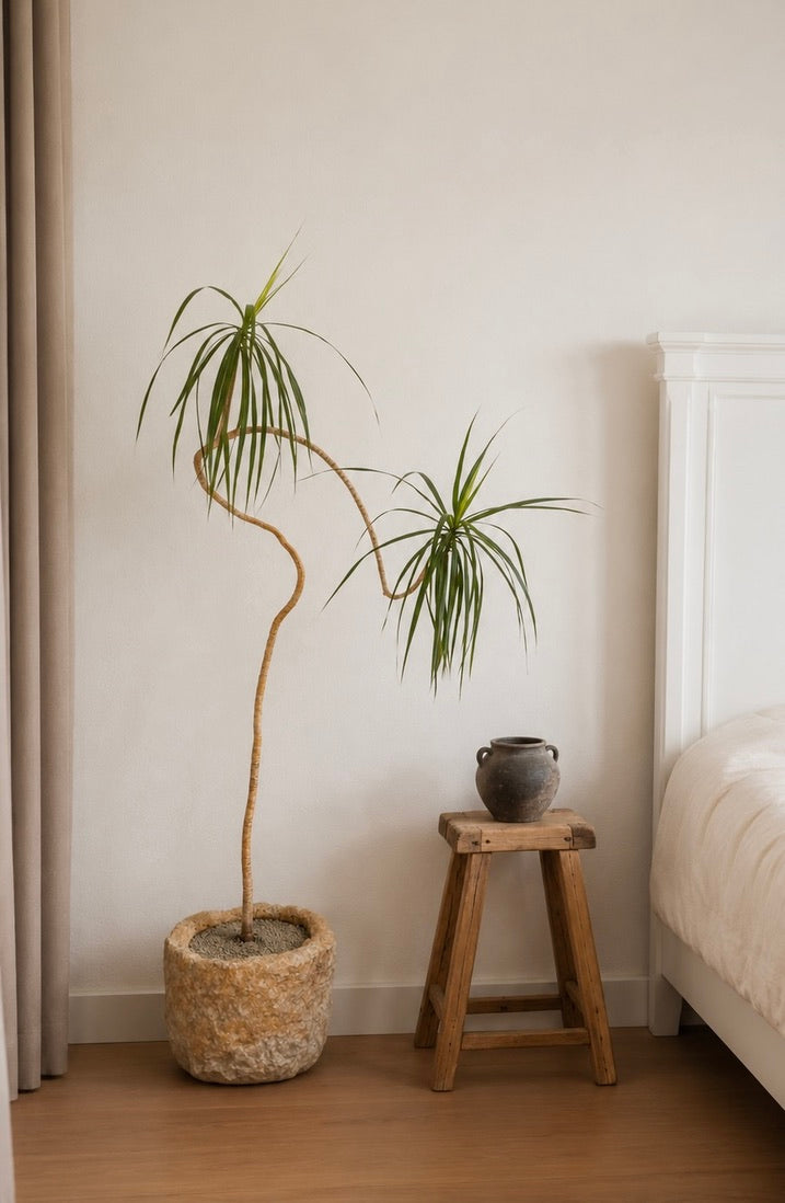 Vintage Stone Trough Planter -Round
