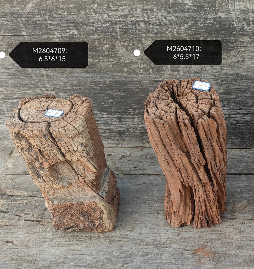 Antique Natural Tree Trunk Stool