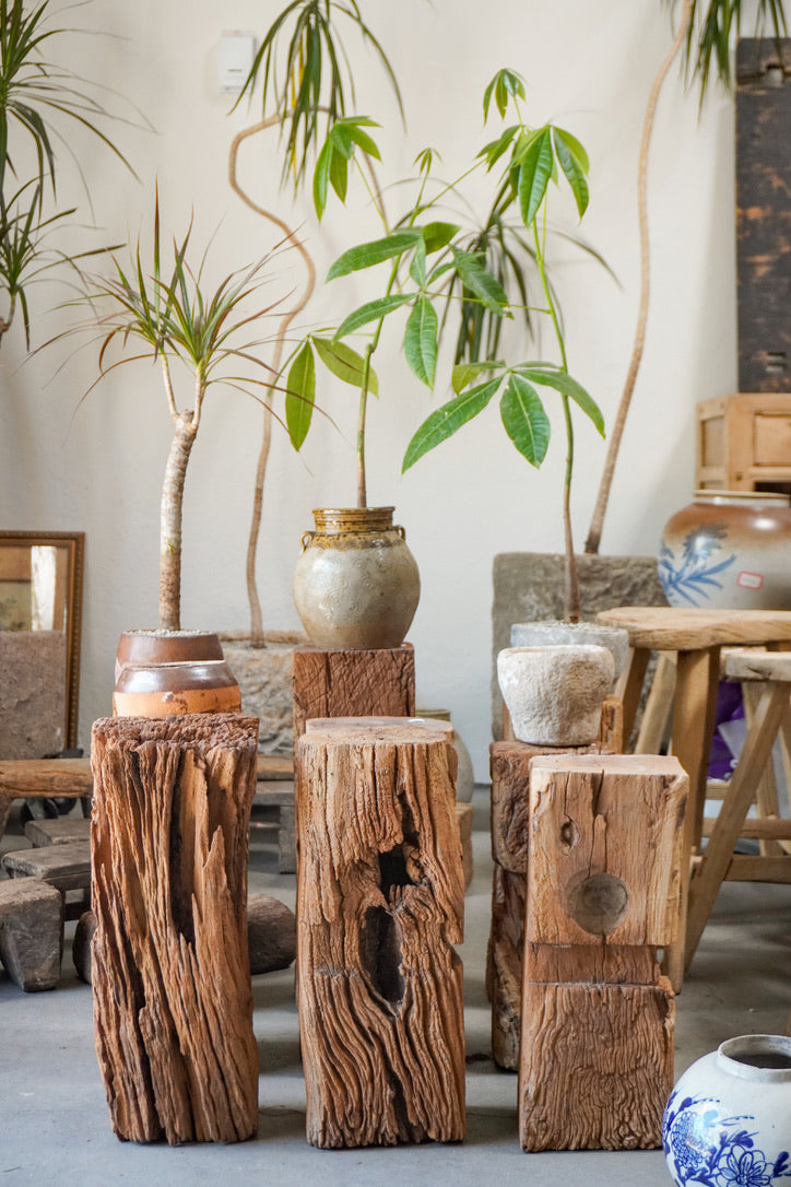 Antique Natural Tree Trunk Stool