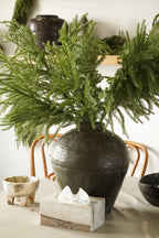 (6)35‘’ Real Touch Christmas Norfolk Pine Stems