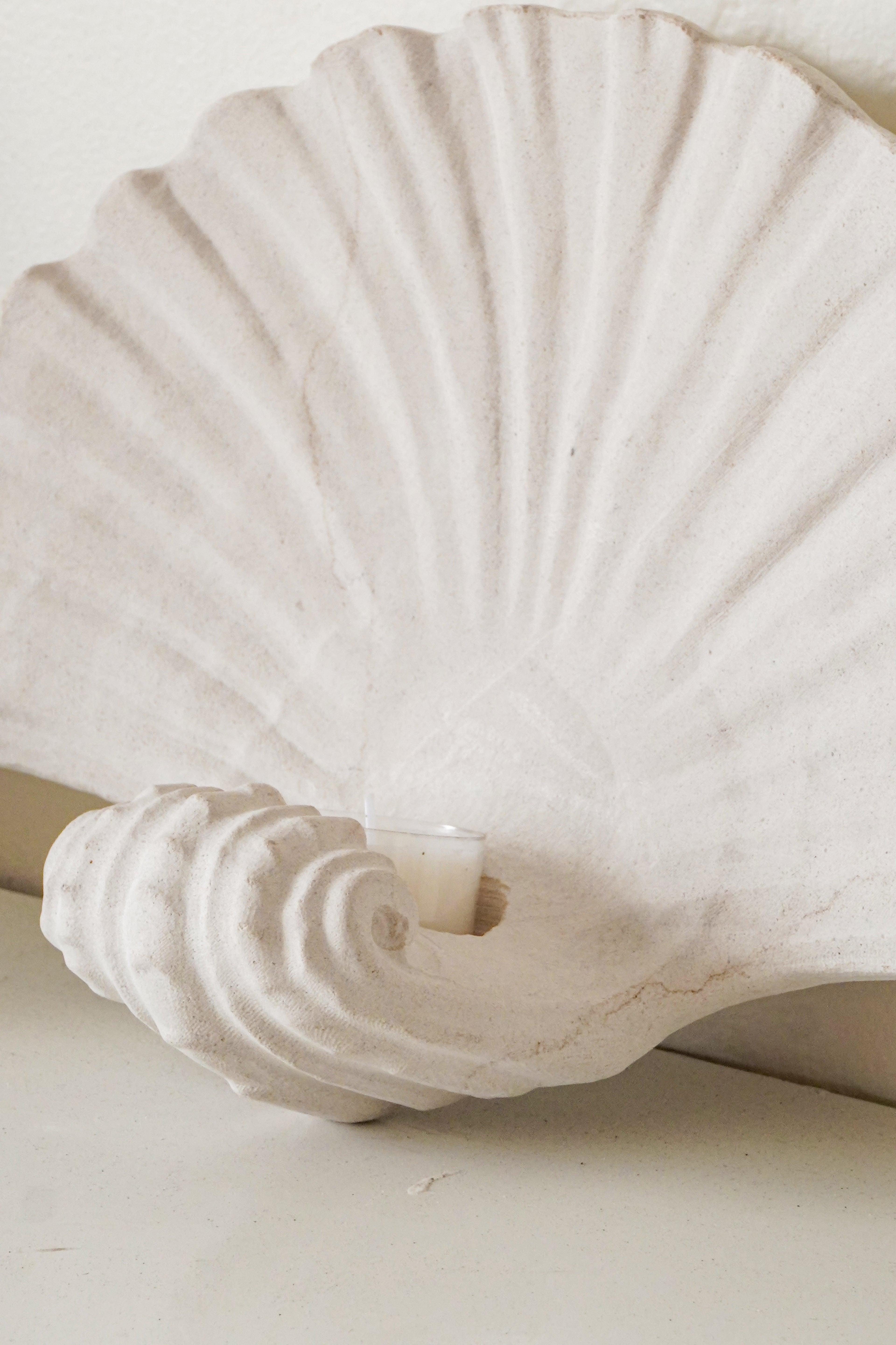 Natural Sandstone Seashell Wall Sconce