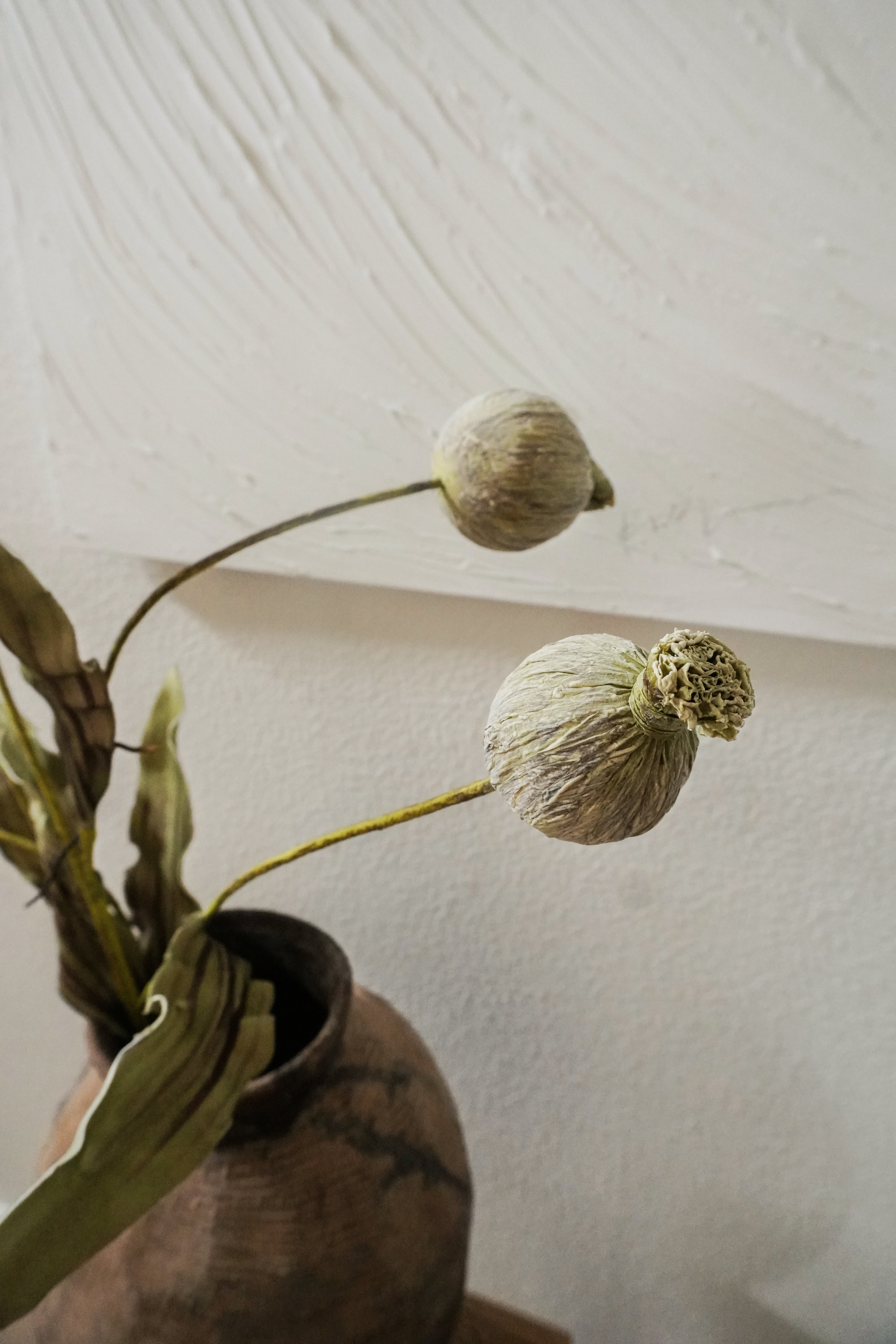 Artificial Poppy Seed Pod Stems
