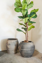 Vintage Rustic Clay Planter-XLarge