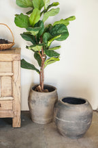 Vintage Rustic Clay Planter-XLarge