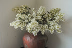 Artificial Berry With Leaves,White, 43''