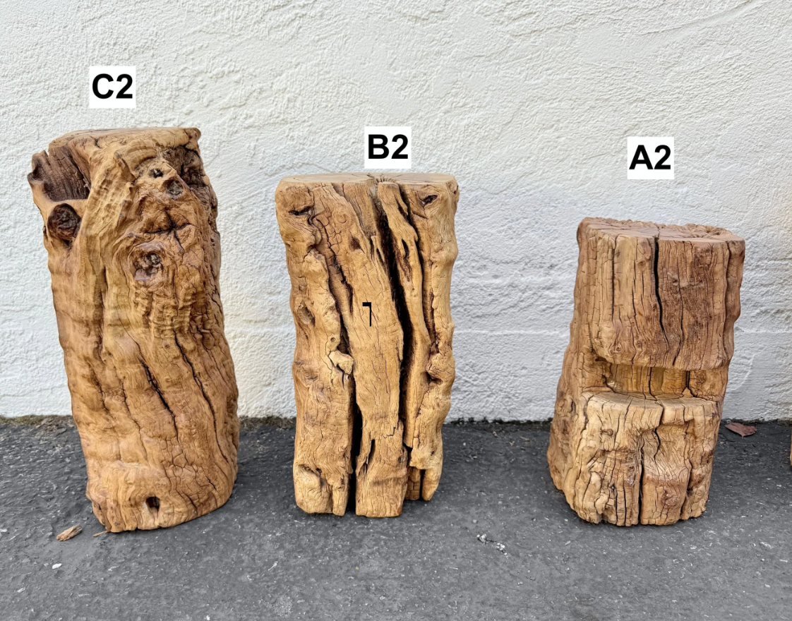 Antique Natural Tree Trunk Stool
