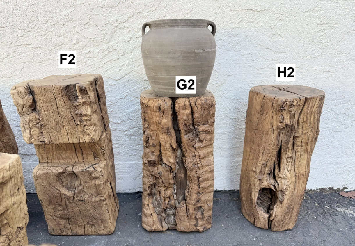 Antique Natural Tree Trunk Stool
